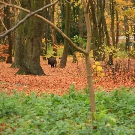 Park Maikuhle Kołobrzeg
